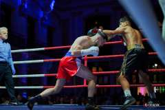 VBC-17_Vienna-Boxing-Championship-BB077