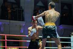 VBC-17_Vienna-Boxing-Championship-BB126
