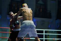 VBC-17_Vienna-Boxing-Championship-BB173
