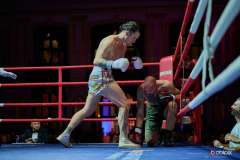 VBC-17_Vienna-Boxing-Championship-BB216