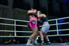 VBC-17_Vienna-Boxing-Championship-BB243