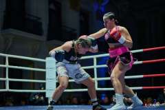 VBC-17_Vienna-Boxing-Championship-BB250