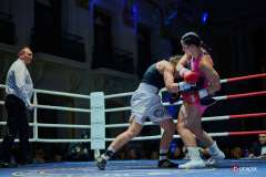 VBC-17_Vienna-Boxing-Championship-BB251