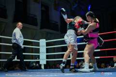VBC-17_Vienna-Boxing-Championship-BB252
