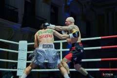 VBC-17_Vienna-Boxing-Championship-BB296
