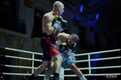 VBC-17_Vienna-Boxing-Championship-BB317