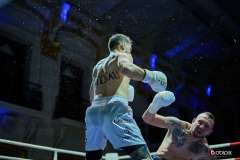 VBC-17_Vienna-Boxing-Championship-BB337