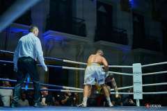 VBC-17_Vienna-Boxing-Championship-BB403