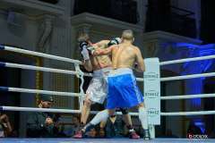 VBC-17_Vienna-Boxing-Championship-BB420