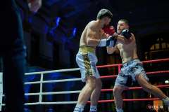 VBC-17_Vienna-Boxing-Championship-BB443