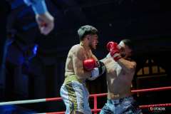 VBC-17_Vienna-Boxing-Championship-BB444