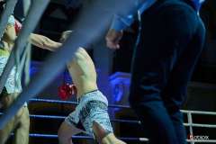 VBC-17_Vienna-Boxing-Championship-BB446