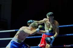 VBC-17_Vienna-Boxing-Championship-BB456