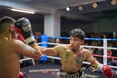 VBC-18_Vienna-Boxing-Championship-B-137