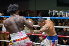 VBC-18_Vienna-Boxing-Championship-B-184