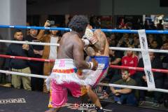 VBC-18_Vienna-Boxing-Championship-B-185