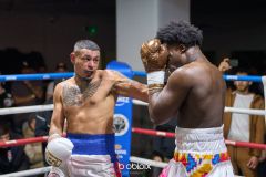 VBC-18_Vienna-Boxing-Championship-B-188