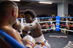 VBC-18_Vienna-Boxing-Championship-B-200