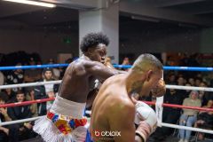 VBC-18_Vienna-Boxing-Championship-B-201