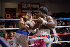 VBC-18_Vienna-Boxing-Championship-B-205