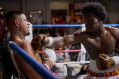 VBC-18_Vienna-Boxing-Championship-B-207