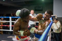 VBC-18_Vienna-Boxing-Championship-B-210