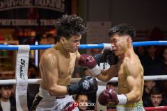 VBC-18_Vienna-Boxing-Championship-B-229