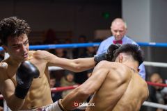 VBC-18_Vienna-Boxing-Championship-B-230