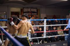 VBC-18_Vienna-Boxing-Championship-B-231
