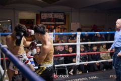 VBC-18_Vienna-Boxing-Championship-B-232