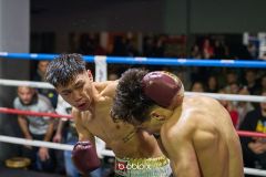 VBC-18_Vienna-Boxing-Championship-B-234