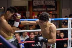 VBC-18_Vienna-Boxing-Championship-B-237