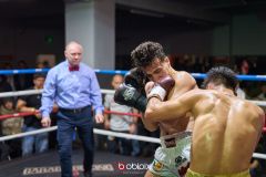 VBC-18_Vienna-Boxing-Championship-B-240