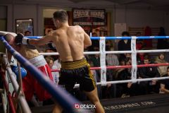 VBC-18_Vienna-Boxing-Championship-B-267