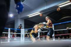 VBC19_566_FIN-